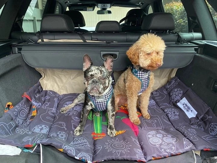 Mexican Skulls Travel Mat - Harvey & Lola