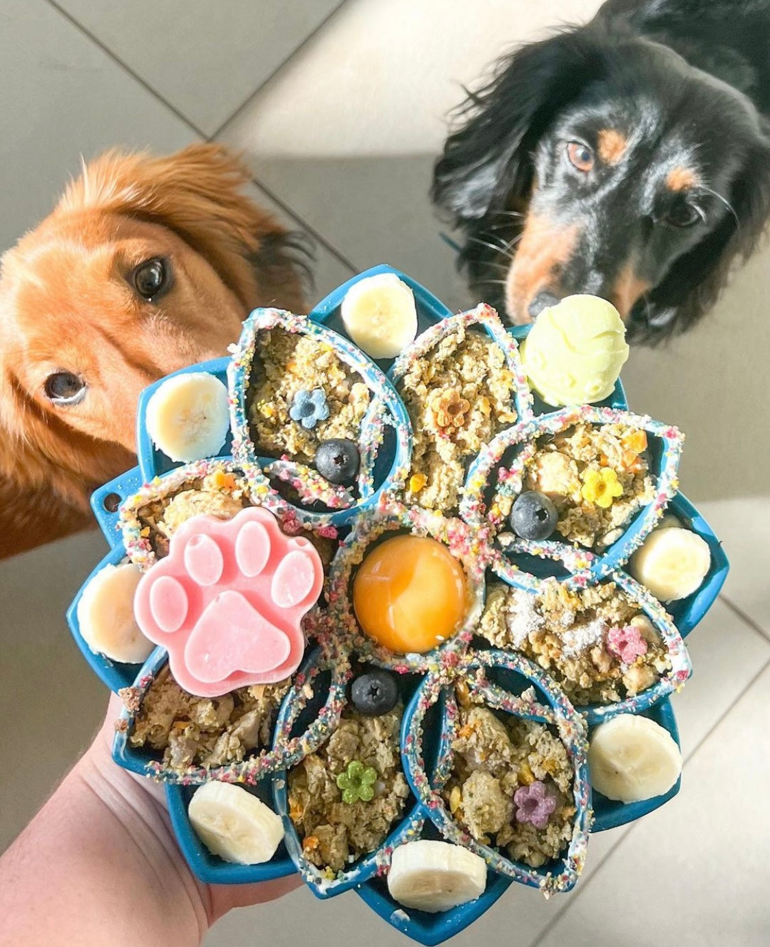 Mandala Slow Feeder eTray