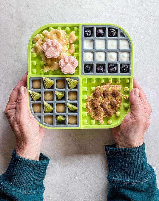 SloMo Wet & Dry Combo Slow Feeder - Harvey & Lola