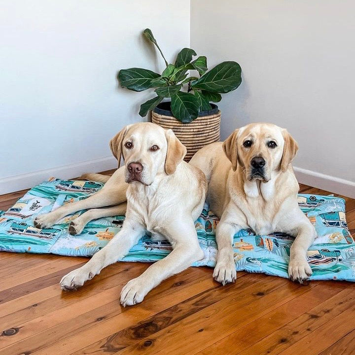 Pet Travel & Training Mats
