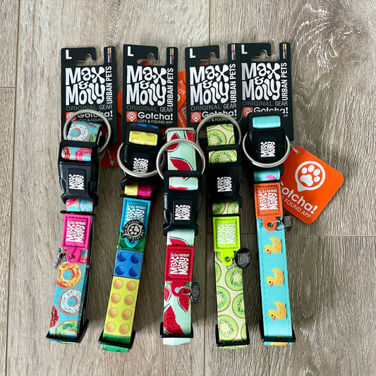 Large Smart ID Dog Collar - Assorted