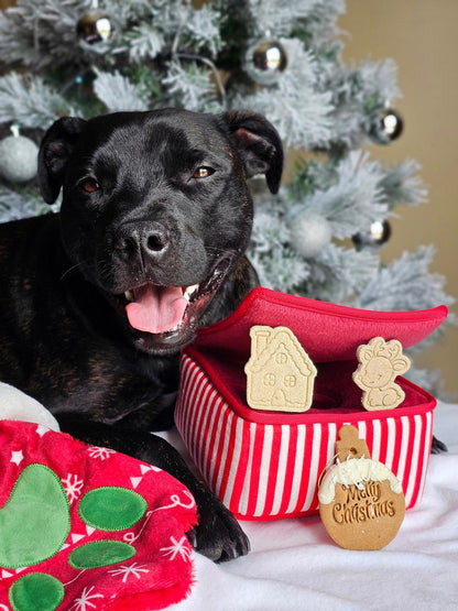 Christmas Paw Stocking