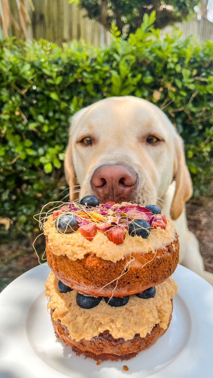 Beet It Up Cake Mix For Dogs