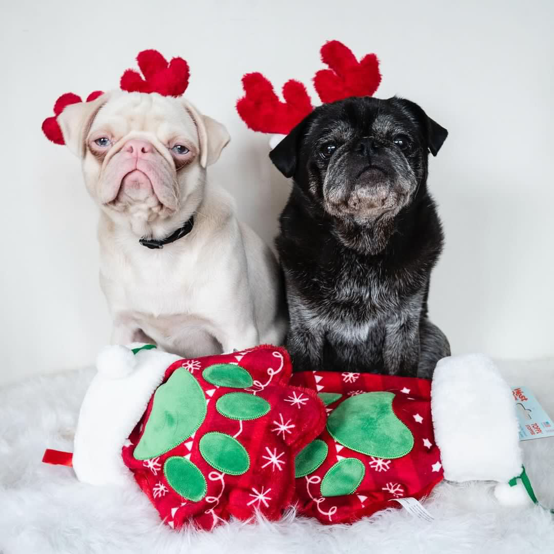 Christmas Paw Stocking