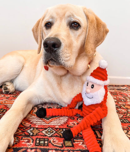 Santa Holiday Crinkle Dog Toy