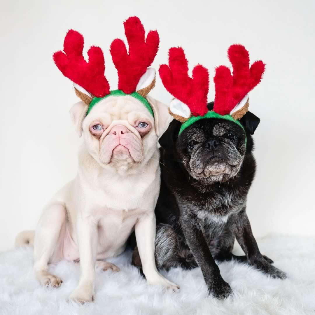 Holiday Reindeer Antlers