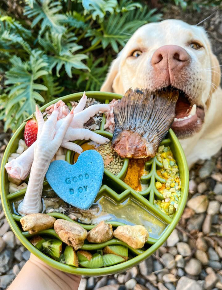 Great Outdoors Slow Feeder Dog eBowl