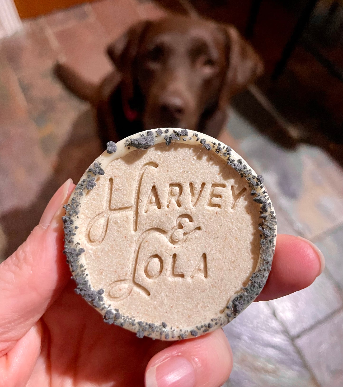 Harvey & Lola Cookie Dog Biscuit