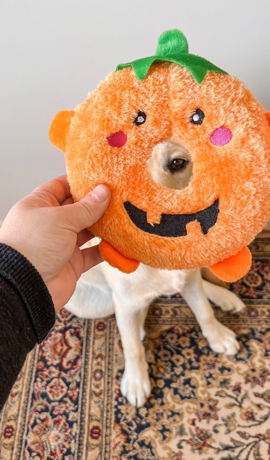 Halloween Donutz Buddies Pumpkin Squeaker Dog Toy