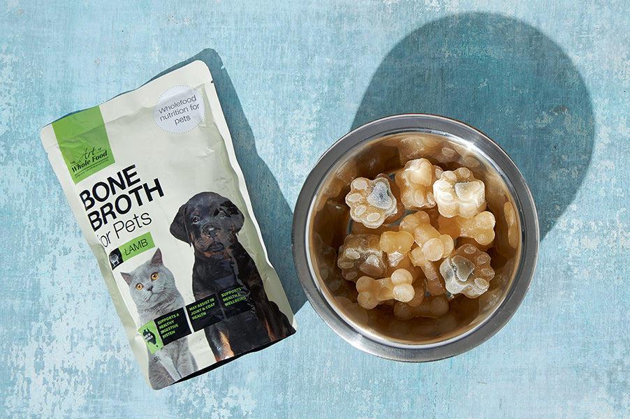 Bone broth gummies outlet for dogs