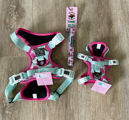 My Little Posie All Rounder Dog Harness or Dog Leash - Assorted Sizes