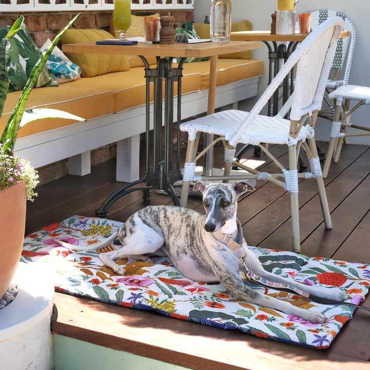 Native Flora Pet Travel & Training Mat