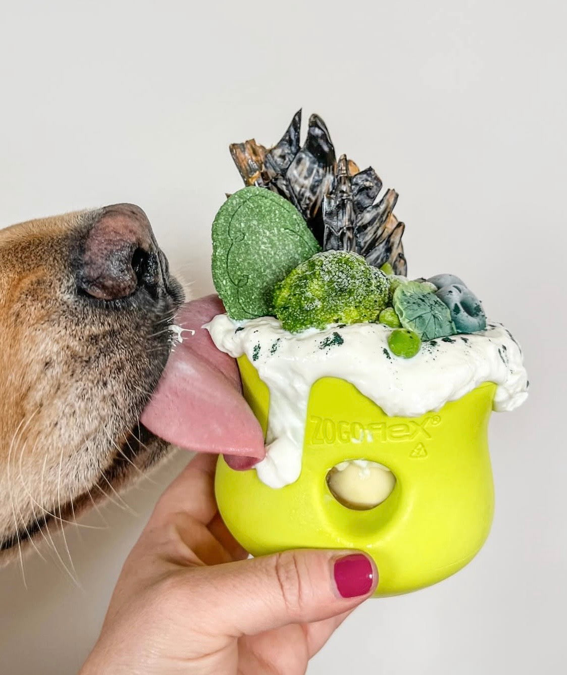 Toppl Slow Feeder Dog Bowl - Assorted Colours