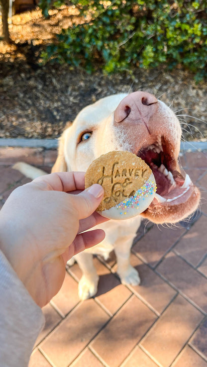 Harvey & Lola Cookie Dog Biscuits