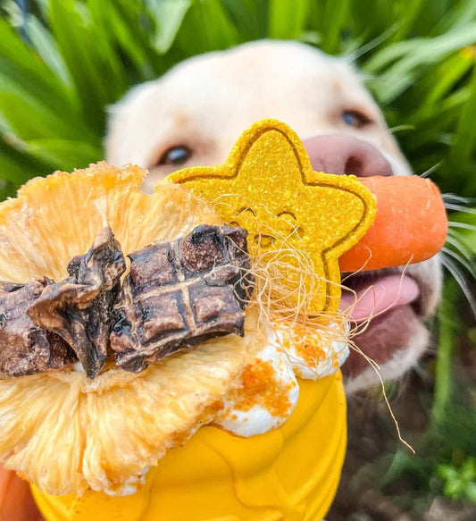 Beef Puffs Dog Treats