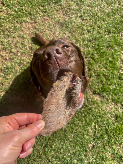 Furry Kangaroo Ear Dog Treat 4pk