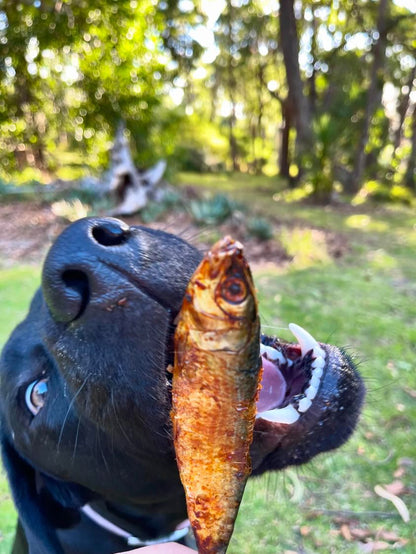 Sardines Air-Dried Dog Treats