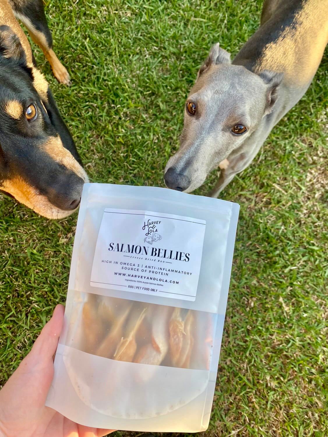 Salmon Bellies Freeze-Dried Dog Treats