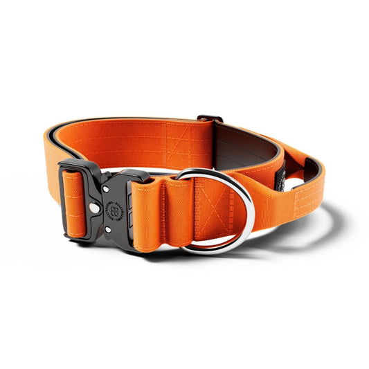 5cm Combat® Collar | With Handle & Rated Clip - Orange v2.0