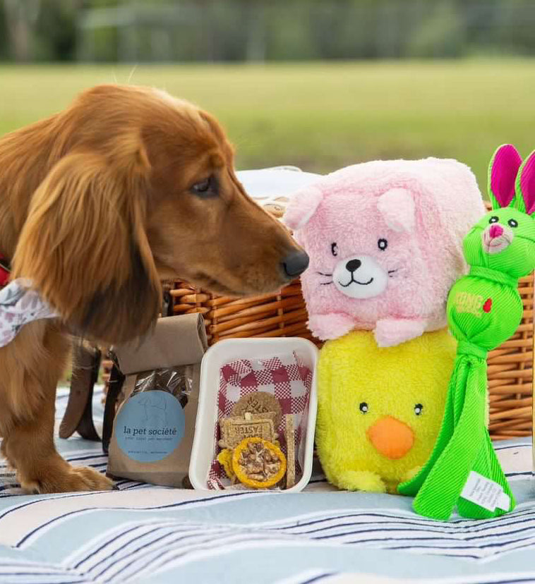 KONG® Wubba™ Friends Ballistic Interactive Assorted Tug Dog Toy w/Squeaker - Assorted Sizes