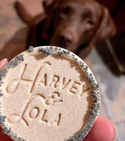 Harvey & Lola Cookie Dog Biscuit