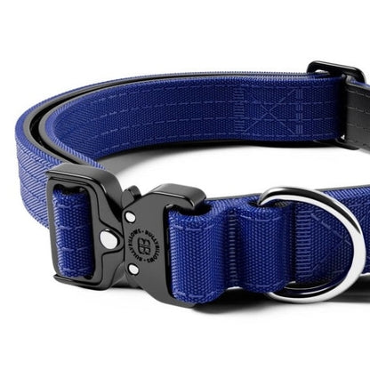 2.5cm Combat® Collar | With Handle & Rated Clip - Blue v2.0