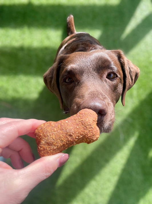Sweet Potato Dog Bone Biscuits