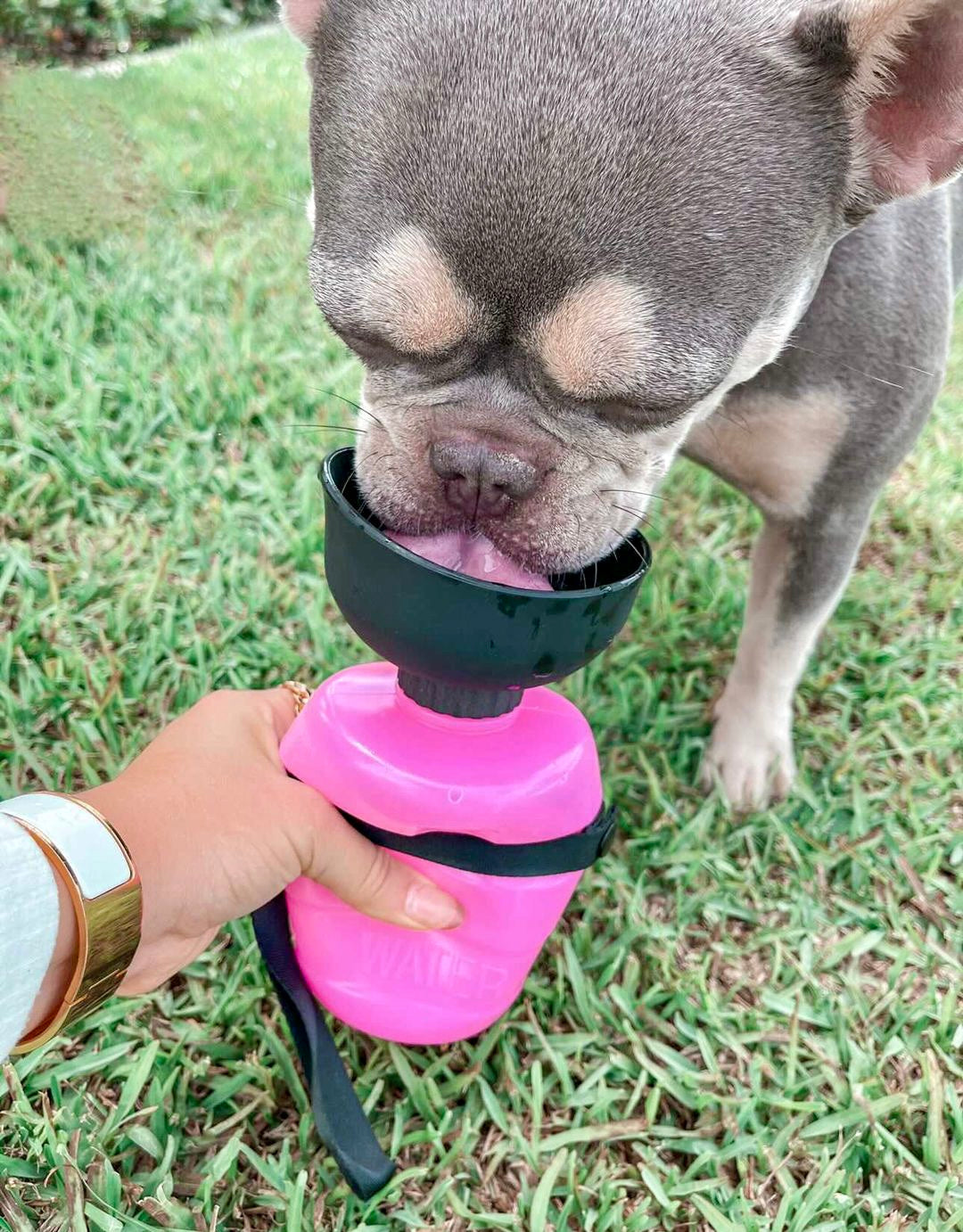 Pet Water Bottles