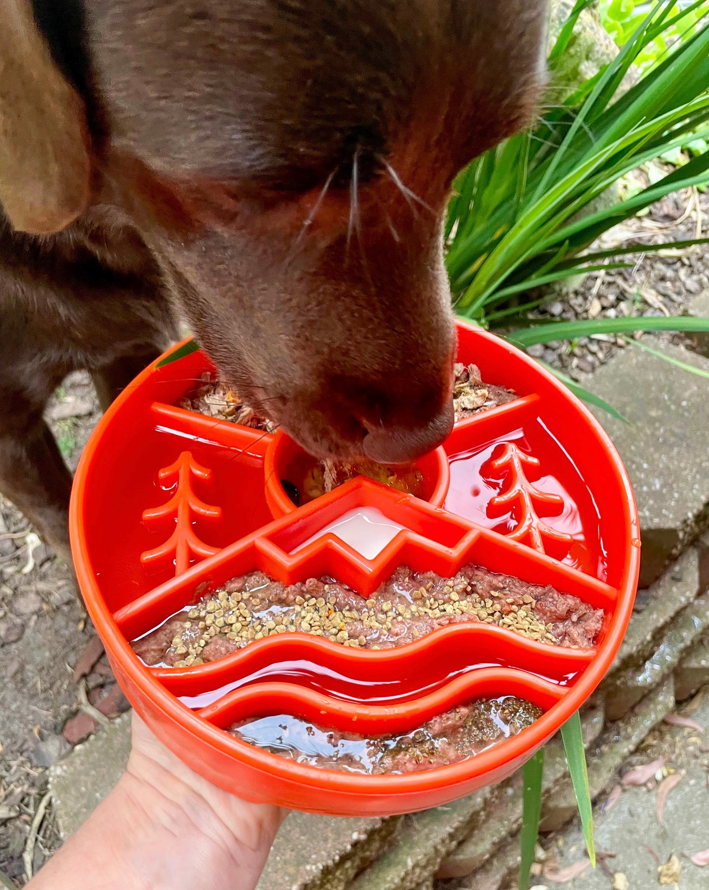 Great Outdoors Slow Feeder Dog eBowl