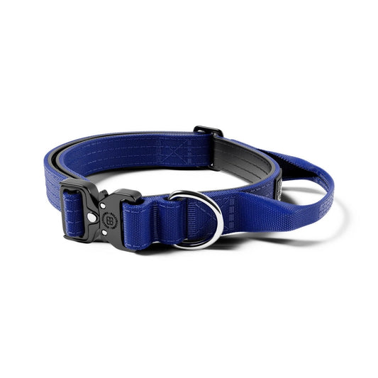 2.5cm Combat® Collar | With Handle & Rated Clip - Blue v2.0