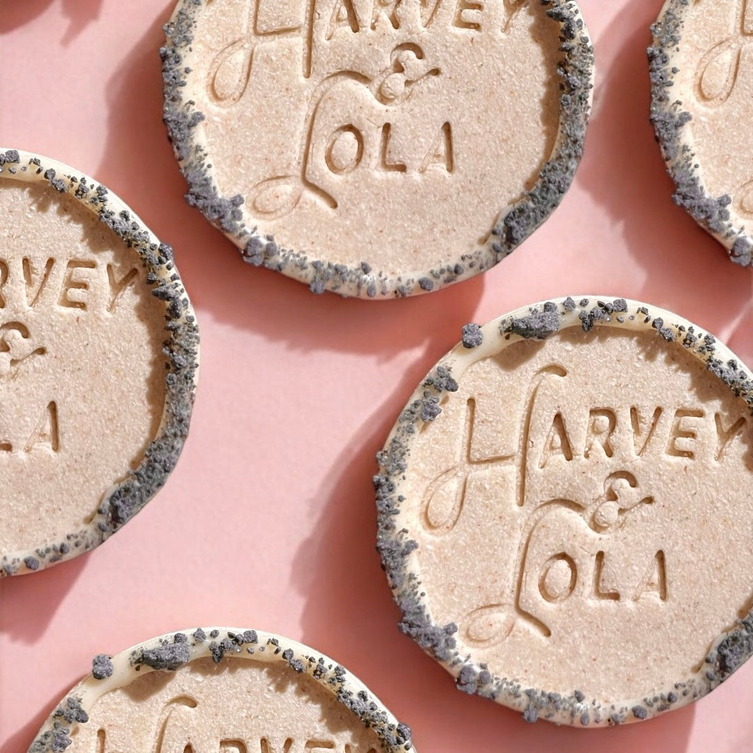 Harvey & Lola Cookie Dog Biscuit