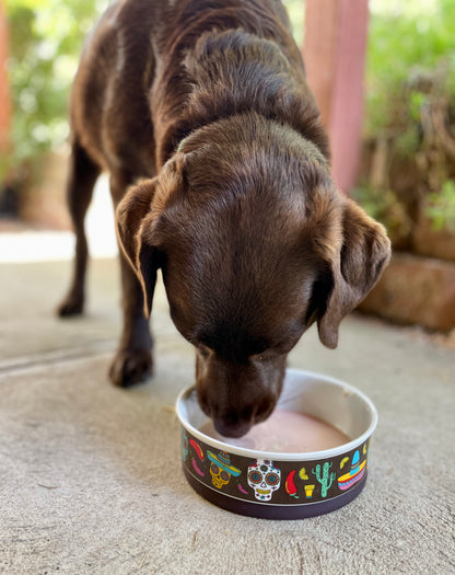 Mexican Skulls Designer Food + Water Dog Bowls