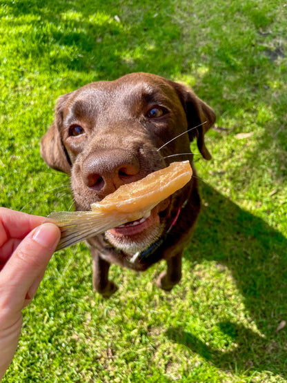 Salmon Bellies Freeze-Dried Dog Treats