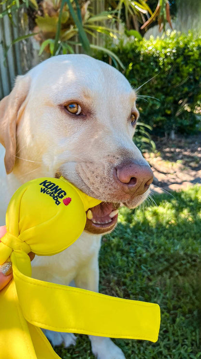 KONG® Wet Wubba™ Tug Dog Toy - Assorted Colours