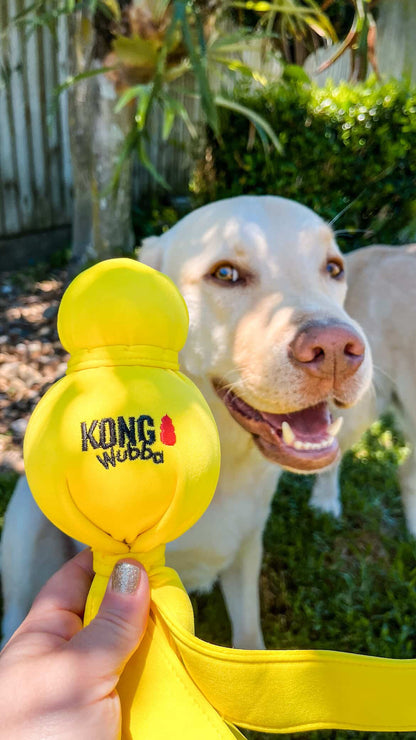 KONG® Wet Wubba™ Tug Dog Toy - Assorted Colours