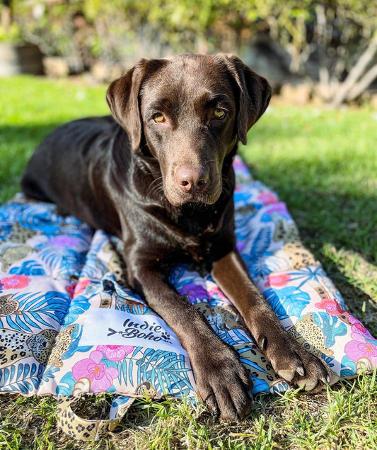 Pet Travel & Training Mats
