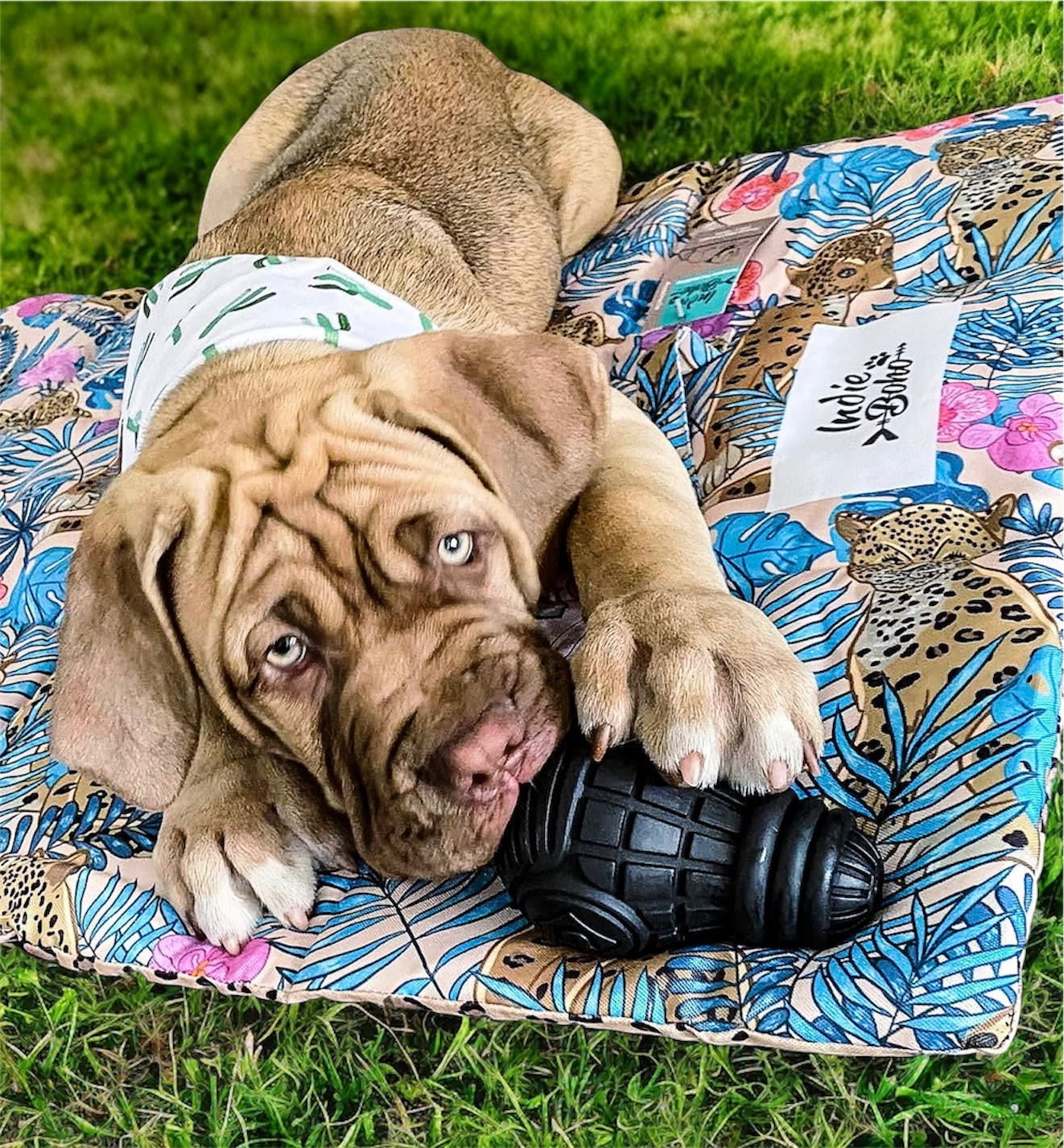 Pet Travel & Training Mats