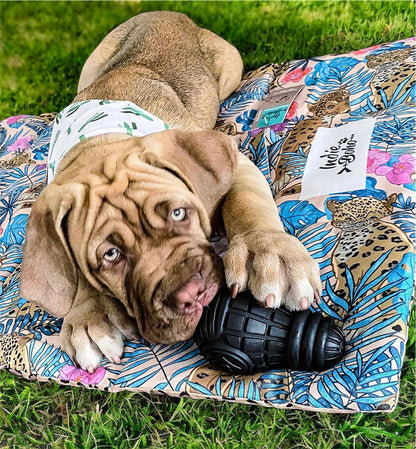 Pet Travel & Training Mats