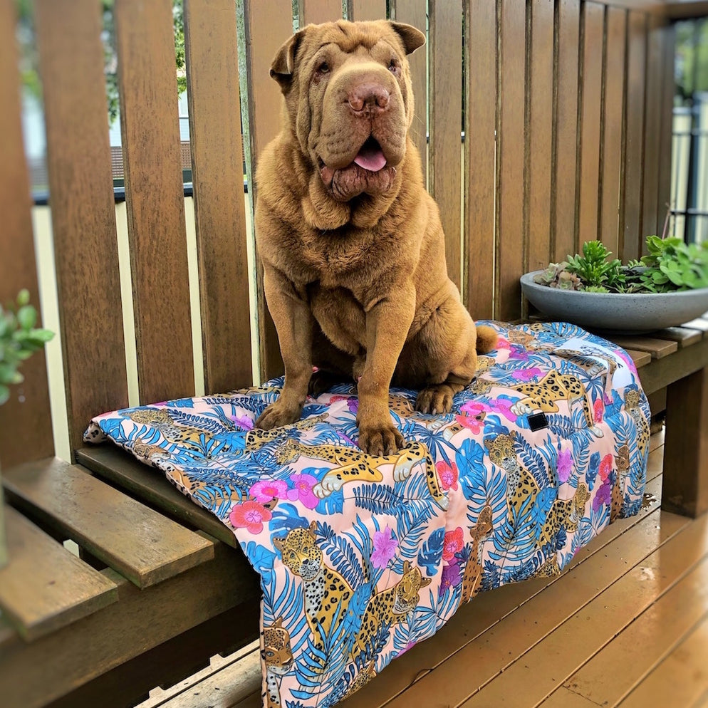 Pet Travel & Training Mats