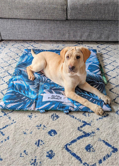 Pet Travel & Training Mats