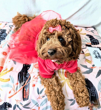 Pet Travel & Training Mats