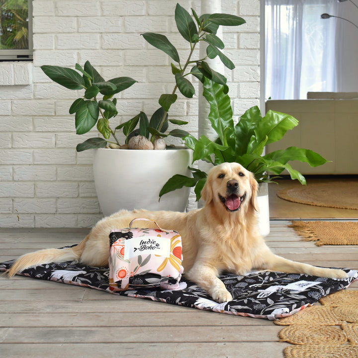 Pet Travel & Training Mats