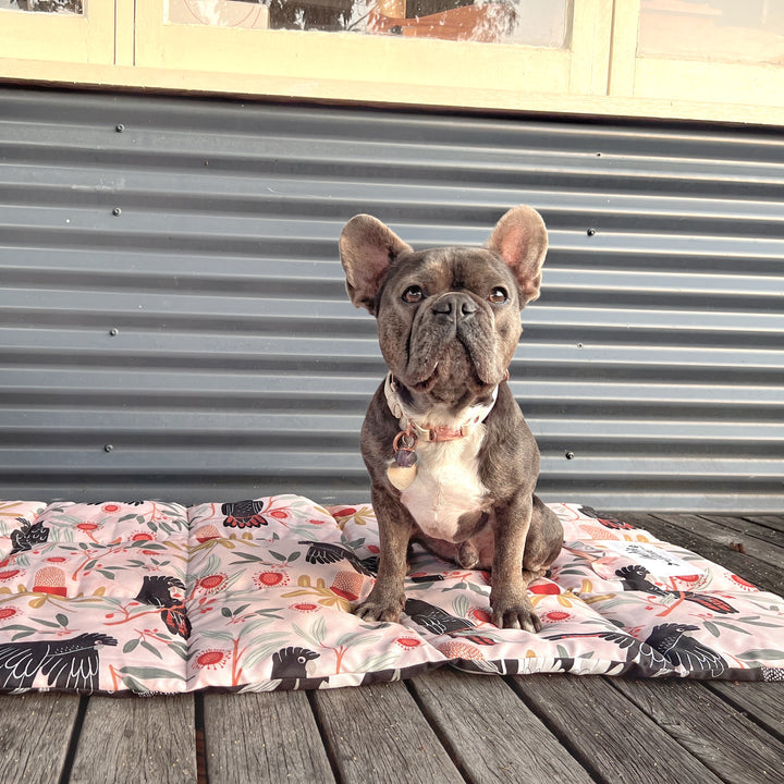 Pet Travel & Training Mats