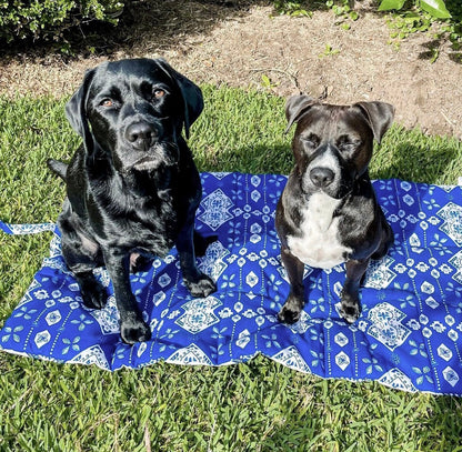 Pet Travel & Training Mats