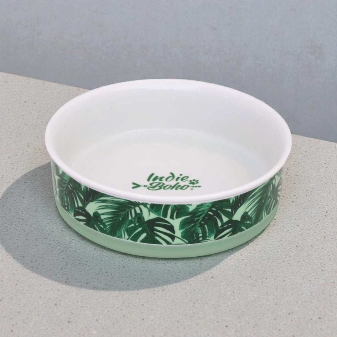 Ceramic Food & Water Dog Bowls