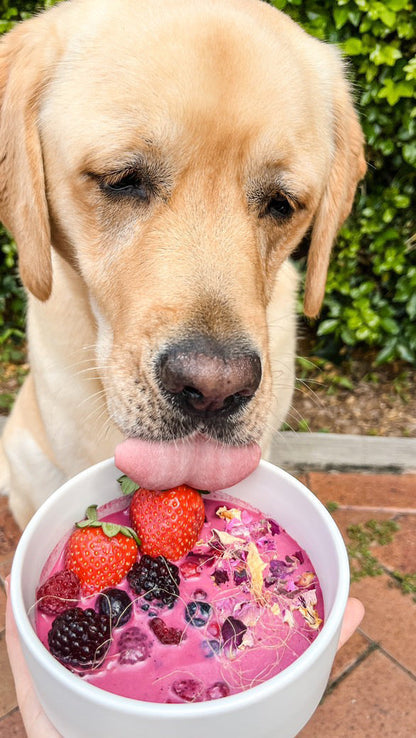 Goat Milk Doggy Drink Mixes