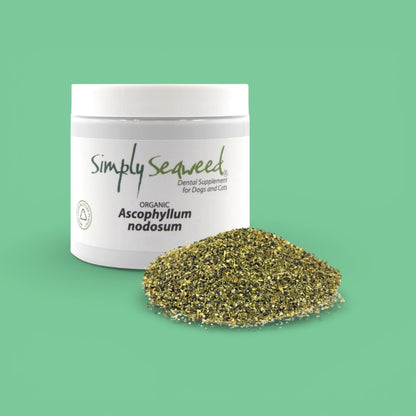 Simply Seaweed Dental Supplement For Cats & Dogs