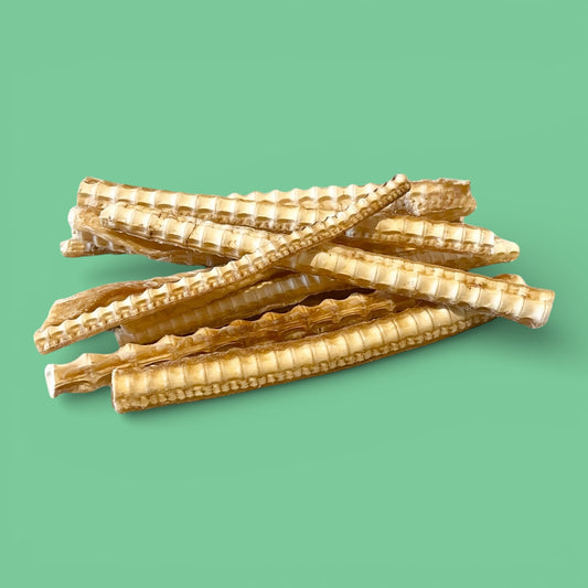 Shark Cartilage Dog Treat