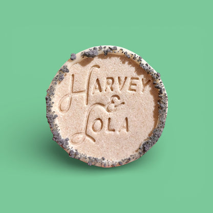 Harvey & Lola Cookie Dog Biscuit