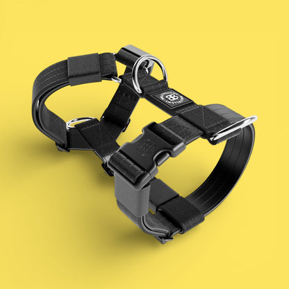 Training Anti Pull TRI-Harness® | M-XL Breeds - Black